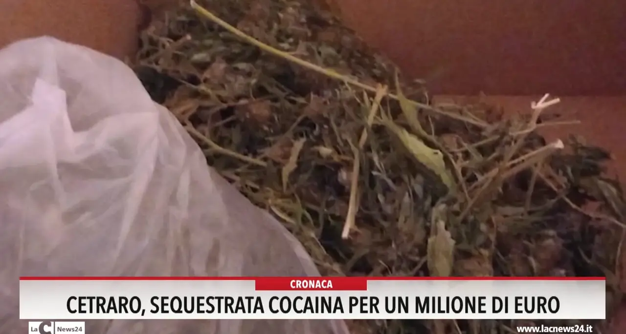 Cetraro, sequestrata cocaina per un milione di euro