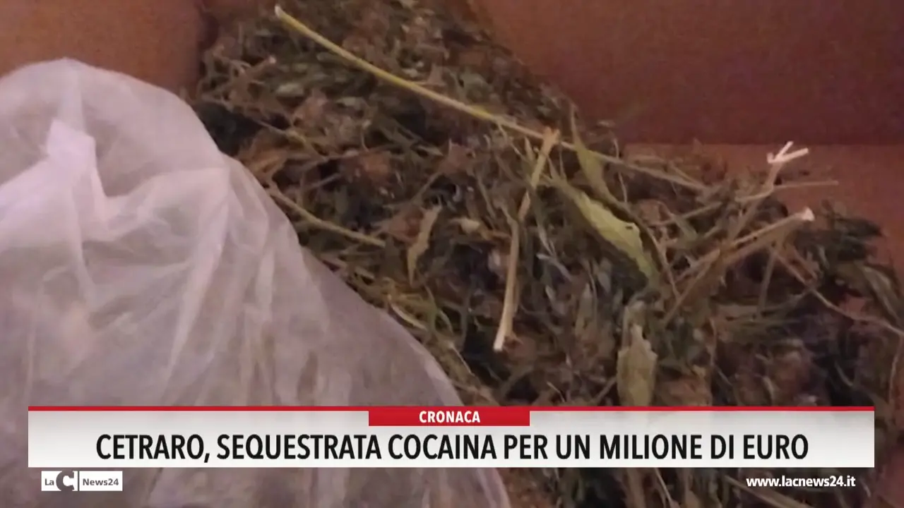 Cetraro, sequestrata cocaina per un milione di euro