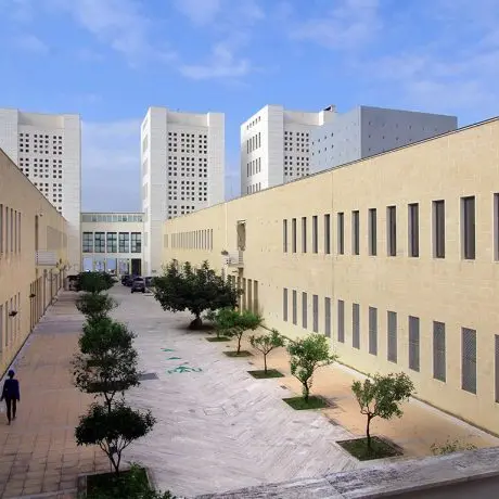 Quattro posti, quattro persone disabili\u00A0idonee ma zero assunzioni:\u00A0alla\u00A0Mediterranea il collocamento mirato resta lettera morta\n