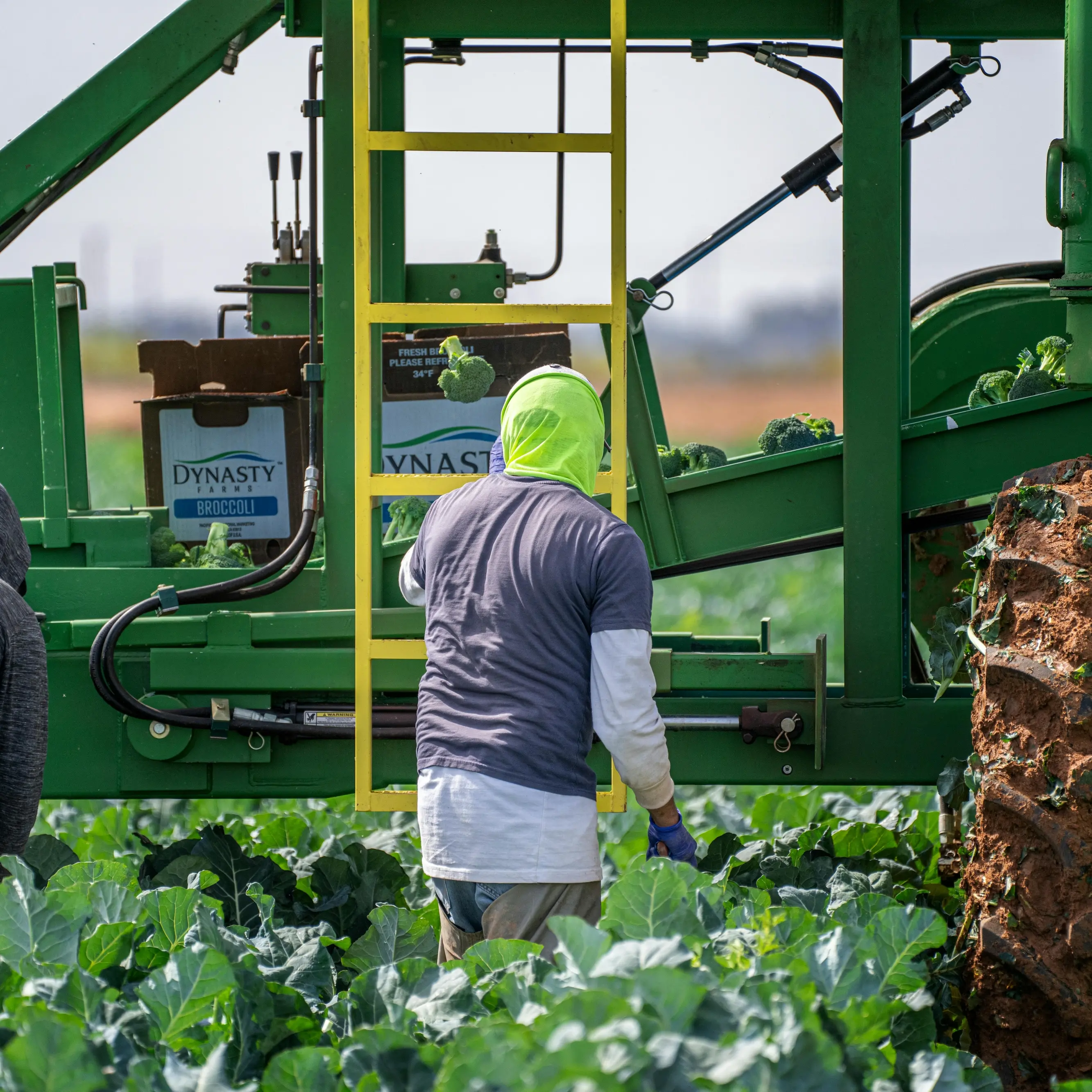 Accordo Ue-Mercosur, industriali favorevole e agricoltori in rivolta: Parlamento europeo al voto sullo stop\n