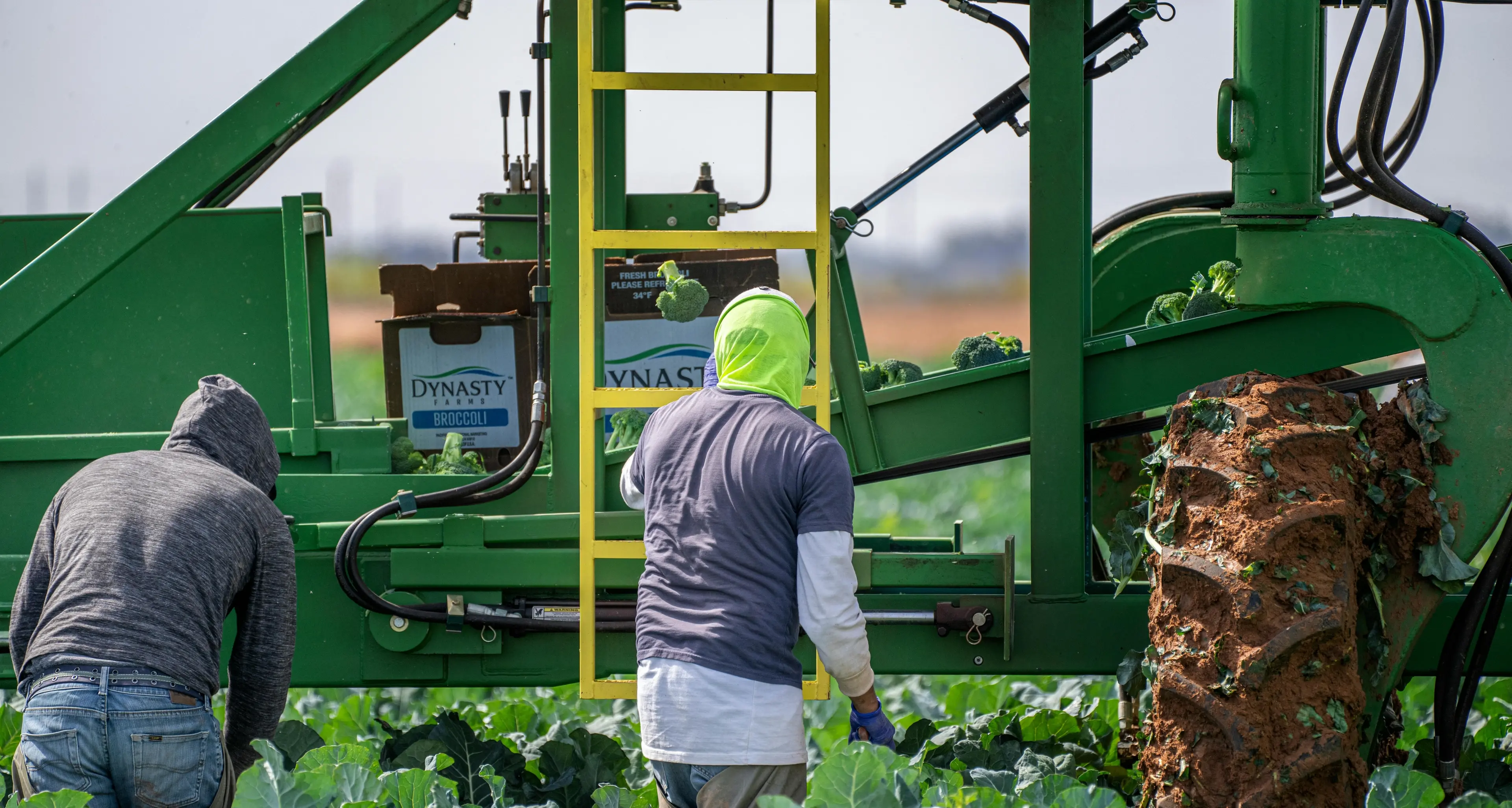 Accordo Ue-Mercosur, industriali favorevole e agricoltori in rivolta: Parlamento europeo al voto sullo stop\n