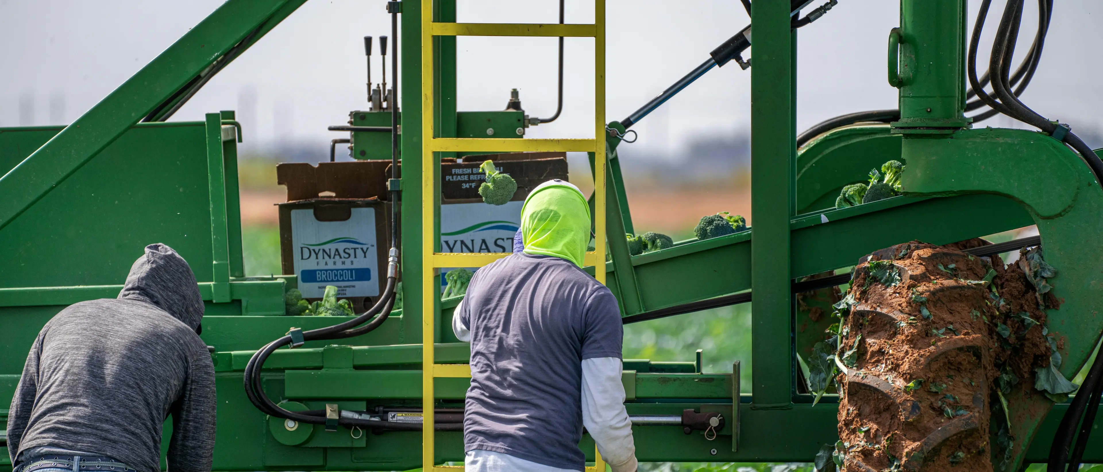 Accordo Ue-Mercosur, industriali favorevole e agricoltori in rivolta: Parlamento europeo al voto sullo stop\n