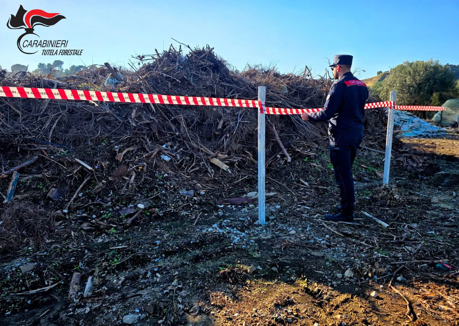 Amendolara, impresa sotto indagine: sequestrati 1.700 mc di rifiuti verdi e materiali misti in un terreno affittato\n