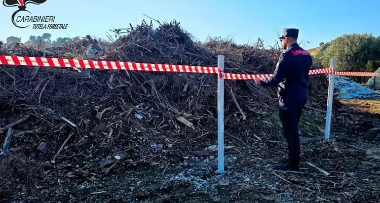 Rifiuti ammassati in un terreno: scatta il sequestro a Trebisacce. Denunciato il titolare di un’impresa\n