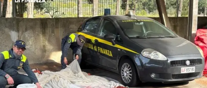 Controlli sulla pesca illegale lungo la costa jonica, doppio intervento della Guardia di Finanza: sequestri, sanzioni e denunce\n