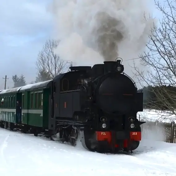 Sila Young Reporters, aperto il bando per 30 giovani narratori della Riserva della Biosfera\n