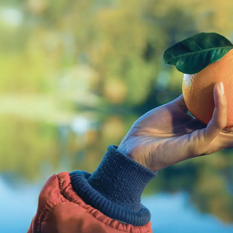 Le Arance della Salute tornano in 3.000 piazze italiane: stand AIRC anche a Cosenza\n