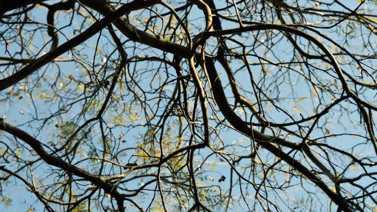 Immagine di repertorio , Canva