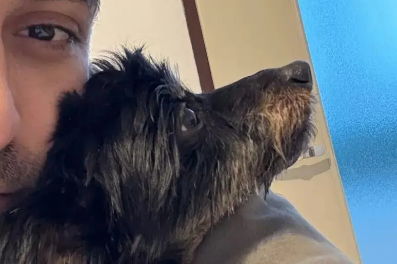 Udine, lancia il cagnolino nel vuoto: morto dopo un volo di 4 metri