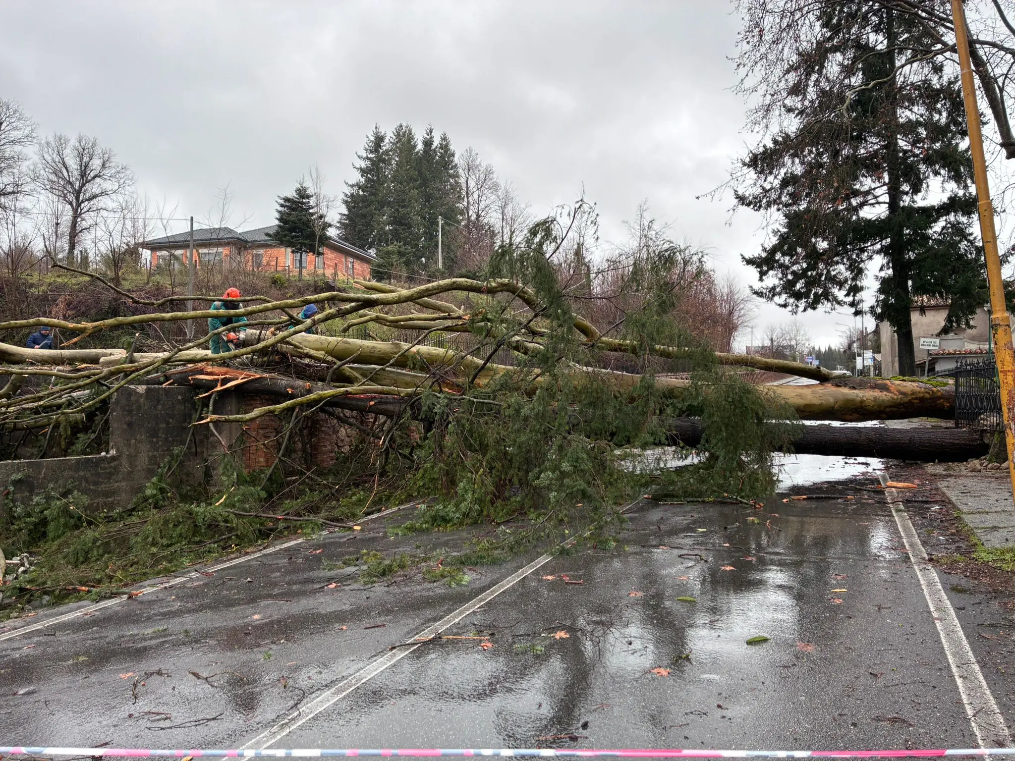 La furia del ciclone Harry anche sul Vibonese: alberi caduti a Serra, traffico bloccato su diverse strade\n