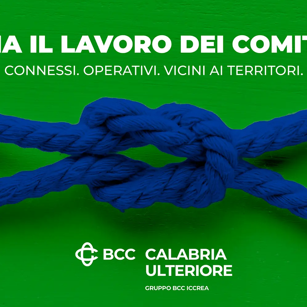 BCC della Calabria Ulteriore: avviato il lavoro dei quattro Comitati a supporto dei territori e dei soci\n