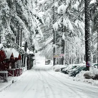Parco Nazionale della Sila, l’inverno è arrivato. Oggi riaprono due piste a Camigliatello\n
