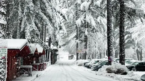 Foto - Pro Loco Camigliatello silano