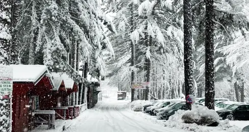 Parco Nazionale della Sila, l’inverno è arrivato. Oggi riaprono due piste a Camigliatello\n