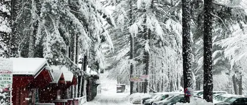Parco Nazionale della Sila, l’inverno è arrivato. Oggi riaprono due piste a Camigliatello\n