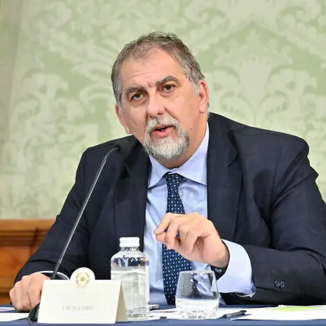 I danni del maltempo, a Catanzaro arriva il capo della Protezione civile Fabio Ciciliano\u00A0\n