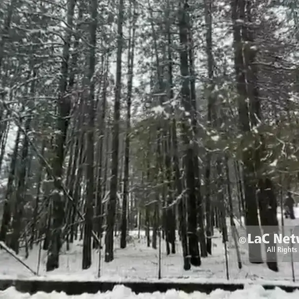 In Sila l’inverno è arrivato e inizia la stagione turistica: oggi riaprono due piste a Camigliatello