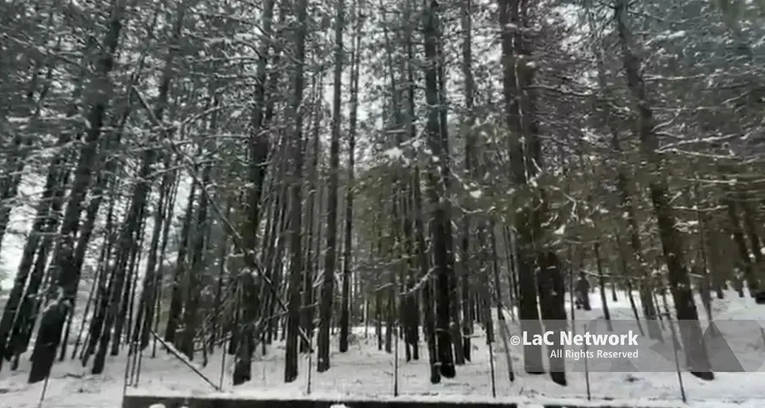 In Sila l’inverno è arrivato e inizia la stagione turistica: oggi riaprono due piste a Camigliatello