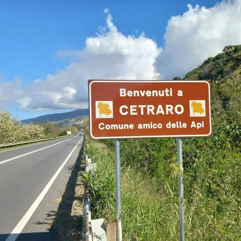 ‘Ndrangheta a Cetraro, il gip smonta l’esistenza\u00A0della nuova cosca\n