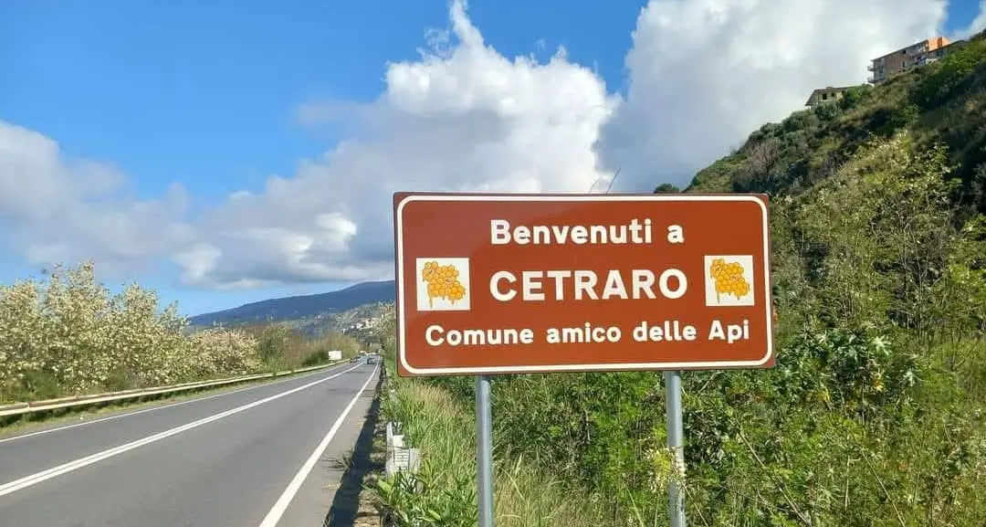 ‘Ndrangheta a Cetraro, il gip smonta l’esistenza\u00A0della nuova cosca\n