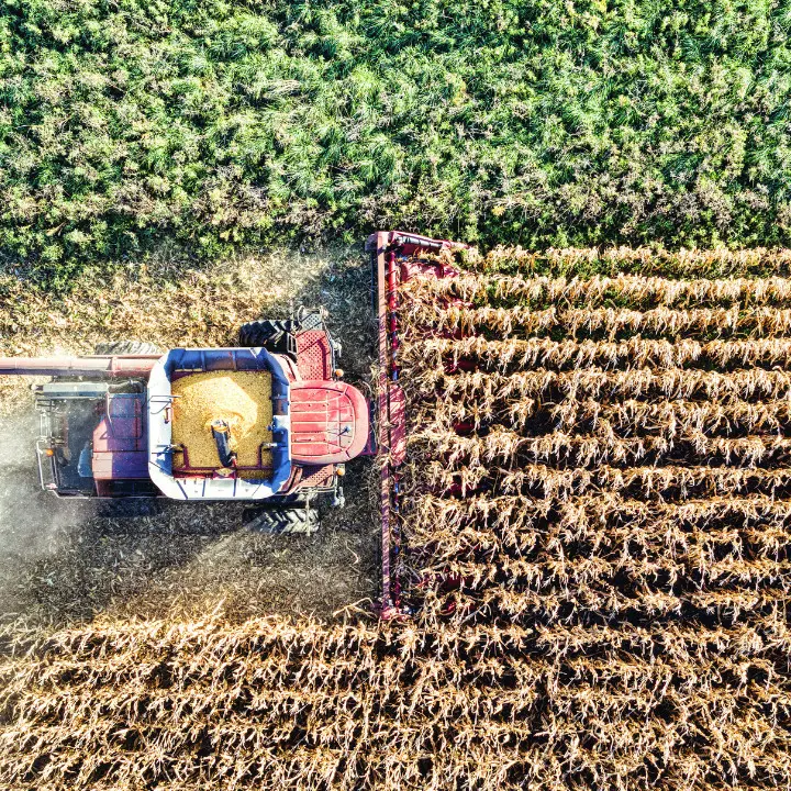 Agricoltura, Adiconsum alla Regione: «Contributi per il Consorzio di bonifica dovuti solo se il beneficio è reale»