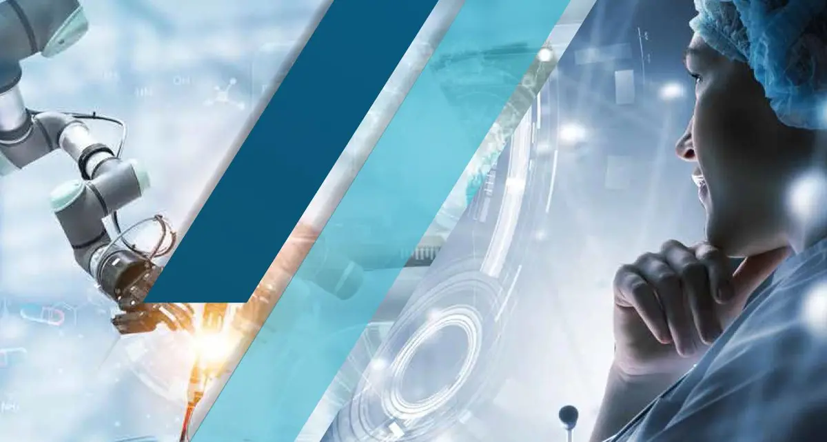 Fondazione Lilli Funaro, quattro bandi per i giovani ricercatori: borse di studio e premi per il 2026\n