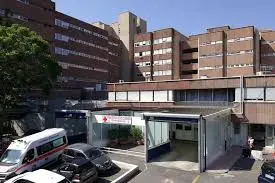 Un 2025 di successi per il Gom\u00A0di Reggio Calabria\n