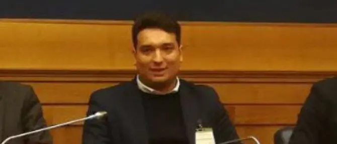 Insegne a led,\u00A0Tripodi: «Norme chiare e moderne nel rispetto del paesaggio urbano»\n