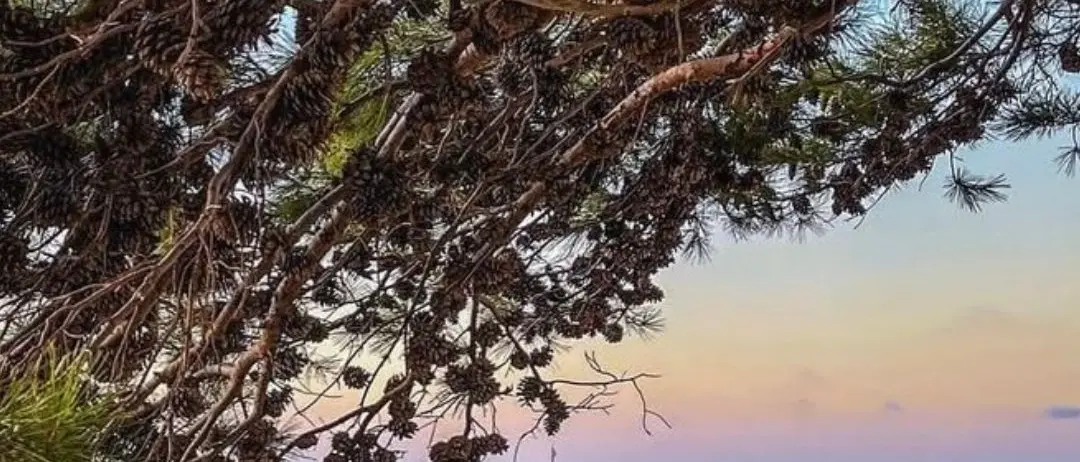 Scilla, incanto sospeso tra cielo e mare\n