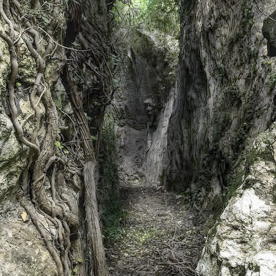 Gente in Aspromonte, domenica 25 gennaio l'escursione alla\u00A0Grotta dei Re\n