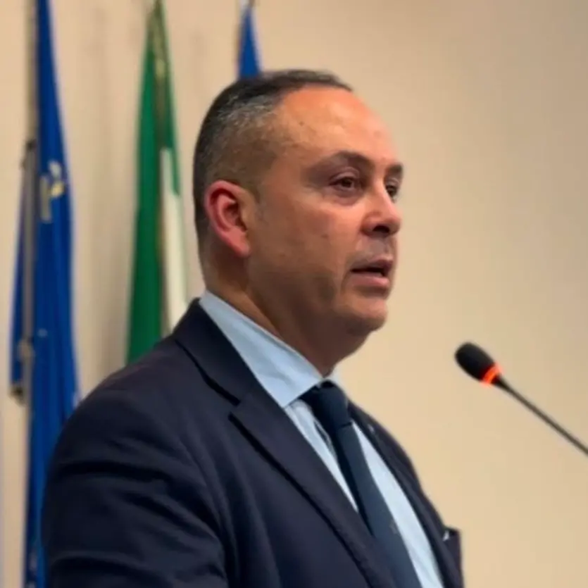 Customer Care Enel, Maiolino (FI): «Prioritario tutelare 300 famiglie reggine»\n