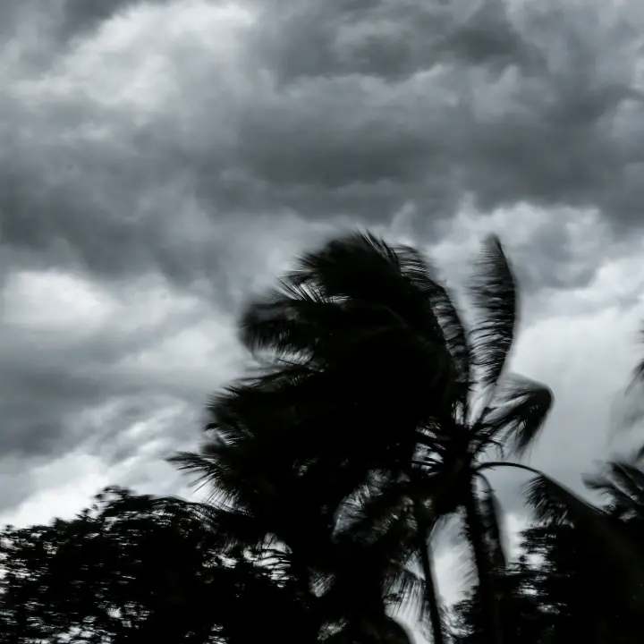 Il ciclone Harry frantuma i limiti storici: onda di 16,66 metri tra Sicilia e Malta\n