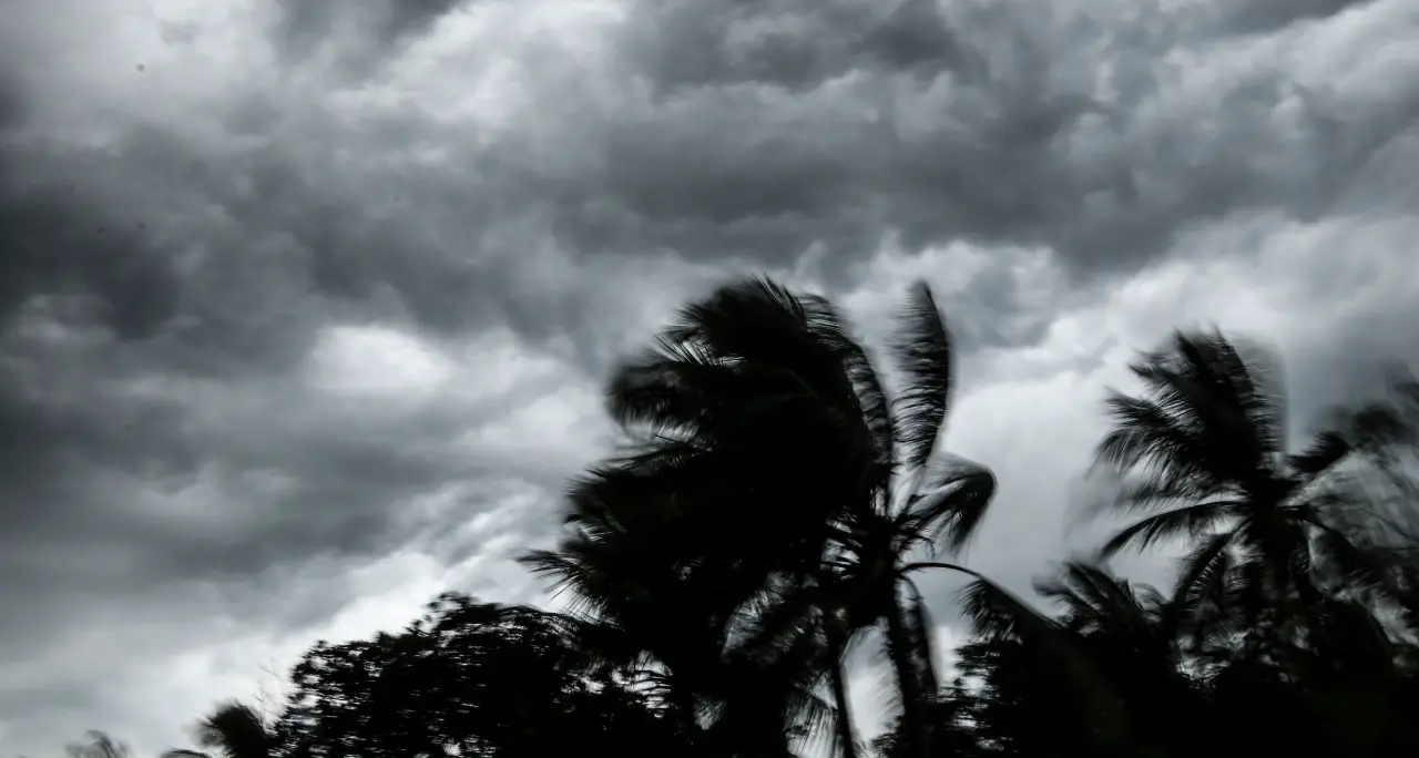 Il ciclone Harry frantuma i limiti storici: onda di 16,66 metri tra Sicilia e Malta\n