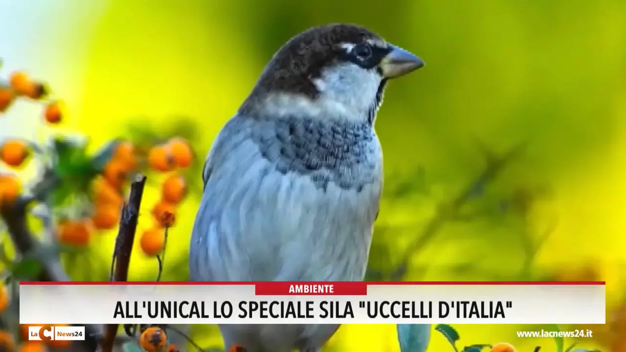 All'Unical lo speciale \"Sila Uccelli d'Italia\"