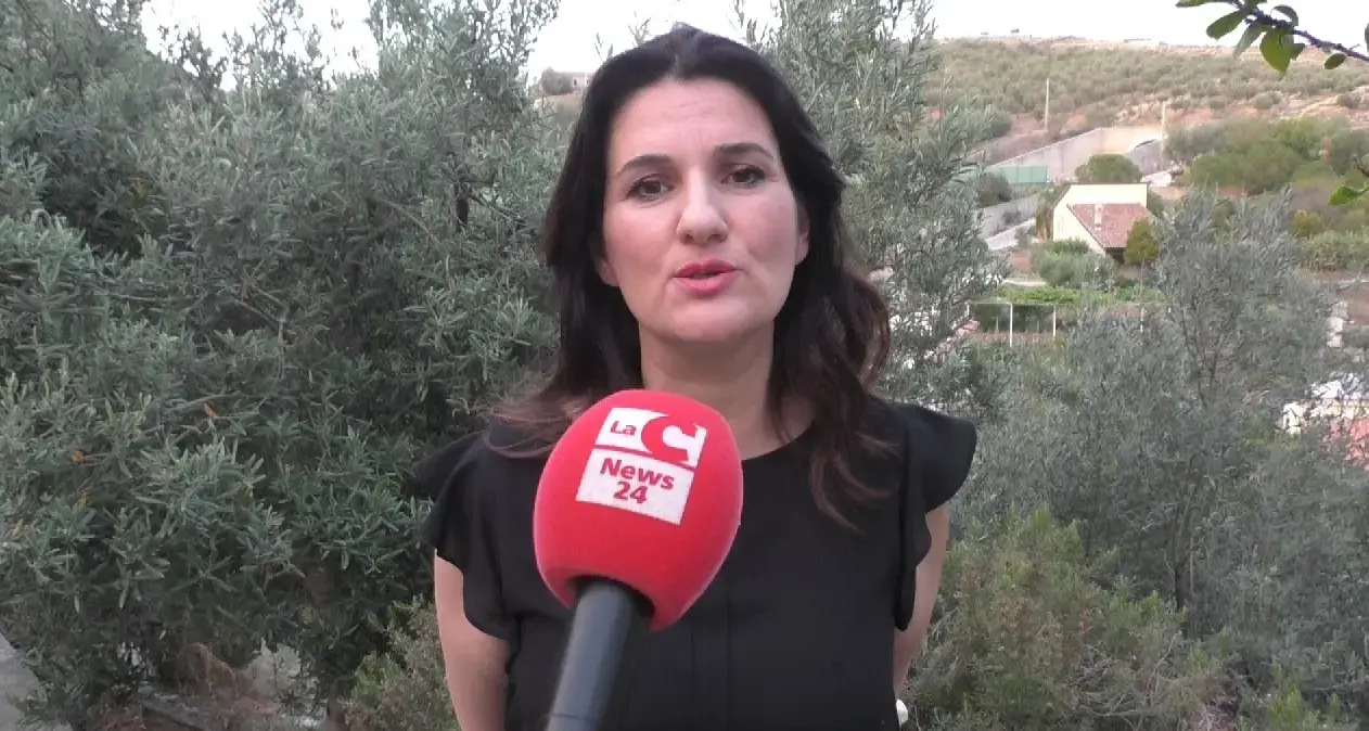 Sanità, Iriti: «Risposta concreta alle emergenze degli ospedali calabresi»\n