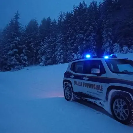 Bracconaggio in Sila, maxi operazione: rinvenuto esemplare adulto femmina di capriolo\n