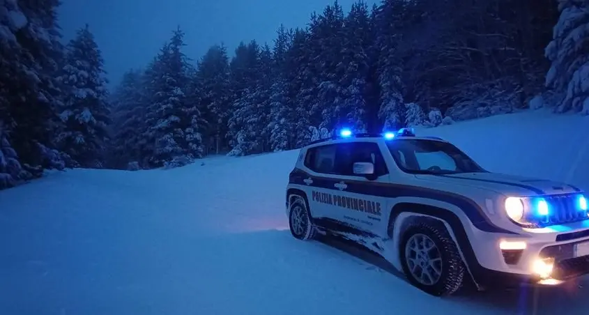 Bracconaggio in Sila, maxi operazione: rinvenuto esemplare adulto femmina di capriolo\n