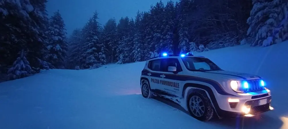 Bracconaggio in Sila, maxi operazione: rinvenuto esemplare adulto femmina di capriolo\n