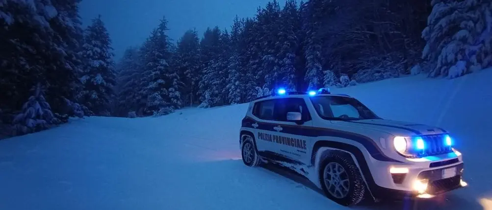 Bracconaggio in Sila, maxi operazione: rinvenuto esemplare adulto femmina di capriolo\n