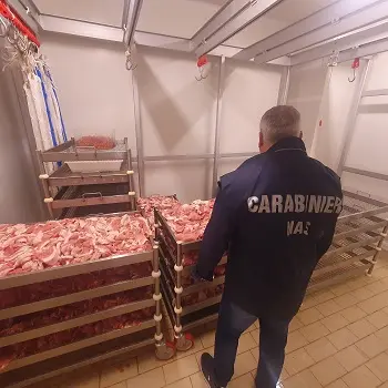 Controlli dei NAS nelle macellerie: a\u00A0Serrastretta sequestrati 11 chili di carne privi di tracciabilità e sospeso un locale\u00A0per la stagionatura degli\n\ninsaccati\n