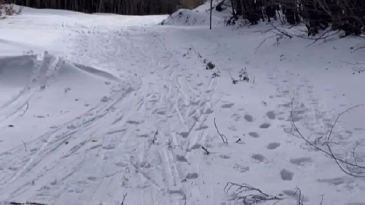 Parco Nazionale della Sila, pista di fondo trascurata: la denuncia social di “Meteo Lo Gullo”\n