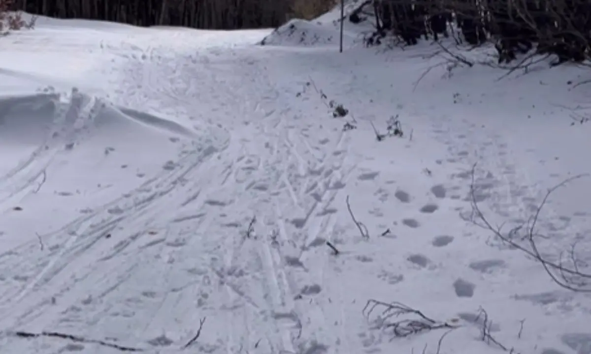 Parco Nazionale della Sila, pista di fondo trascurata: la denuncia social di “Meteo Lo Gullo”\n