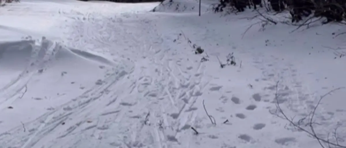 Parco Nazionale della Sila, pista di fondo trascurata: la denuncia social di “Meteo Lo Gullo”\n