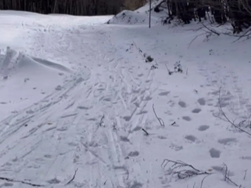 Parco Nazionale della Sila, pista di fondo trascurata: la denuncia social di “Meteo Lo Gullo”