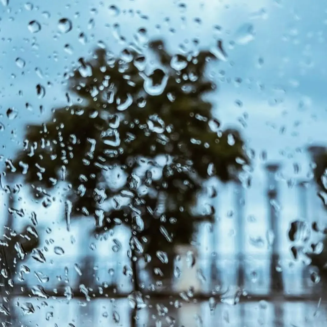 Tra le gocce, il cuore di Reggio\n