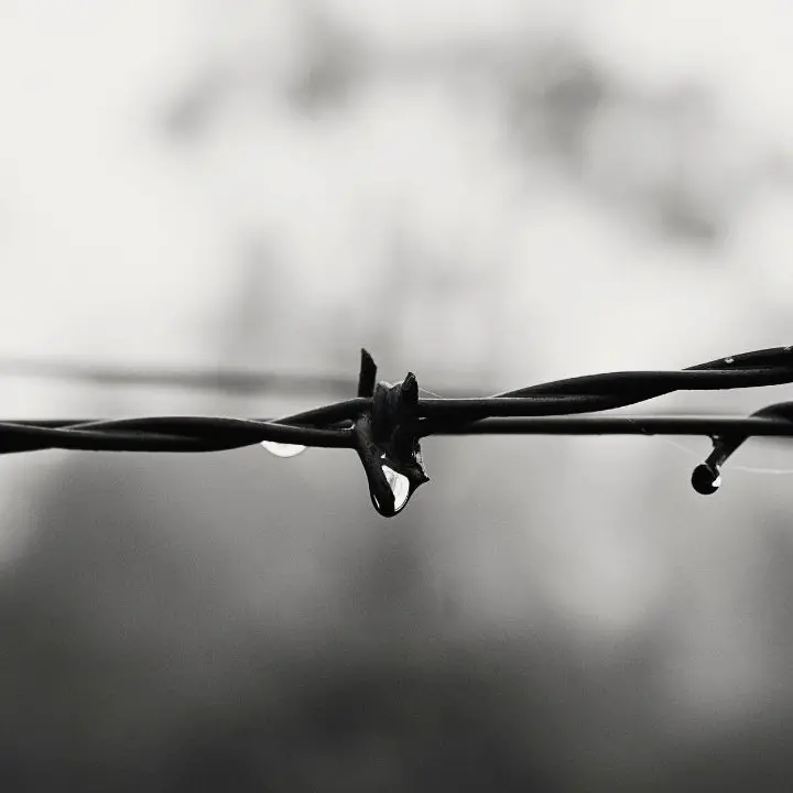 Giornata della memoria, all’Archivio di Stato la presentazione del libro Berlino 1940 di Nadia Crucitti\n