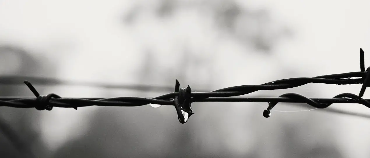 Giornata della memoria, all’Archivio di Stato la presentazione del libro Berlino 1940 di Nadia Crucitti\n