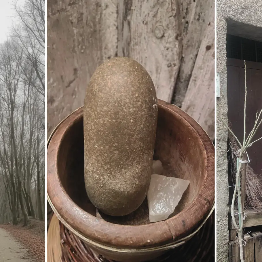 Dal Catanzarese al Vibonese a piedi: il vecchio viaggio del sale da Vallefiorita a Polia attraversando i boschi calabresi\n