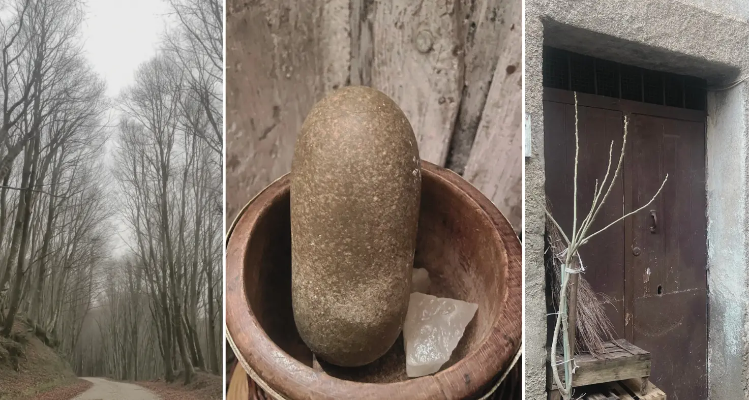 Dal Catanzarese al Vibonese a piedi: il vecchio viaggio del sale da Vallefiorita a Polia attraversando i boschi calabresi\n