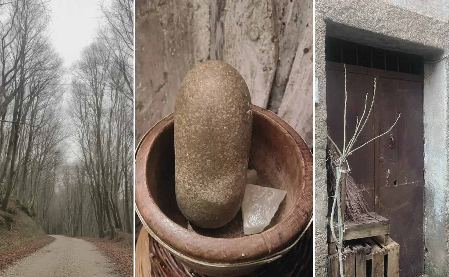Dal Catanzarese al Vibonese a piedi: il vecchio viaggio del sale da Vallefiorita a Polia attraversando i boschi calabresi\n